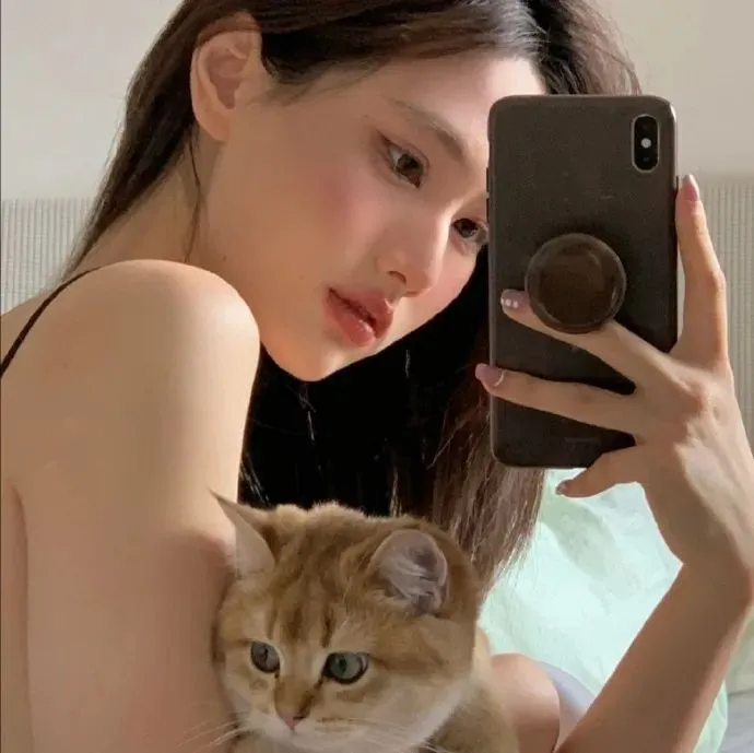 好莱坞大片精选